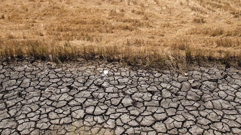 Cảnh báo khả năng xuất hiện El Nino mạnh: Theo dõi chặt chẽ, quá sớm để khẳng định “siêu El Nino”