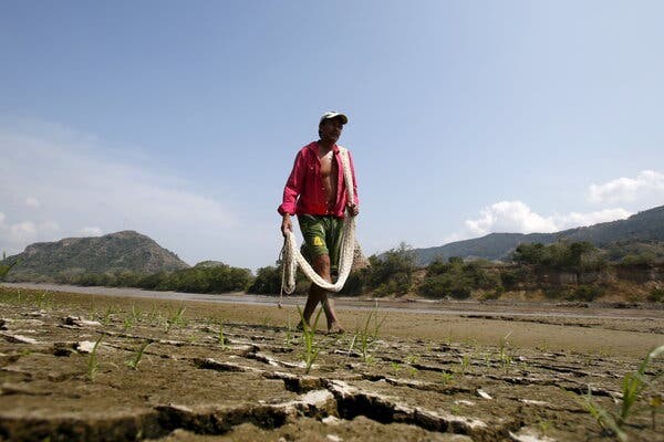 Một đợt El Niño mạnh có thể sắp diễn ra. Các quốc gia đã bắt đầu công tác chuẩn bị