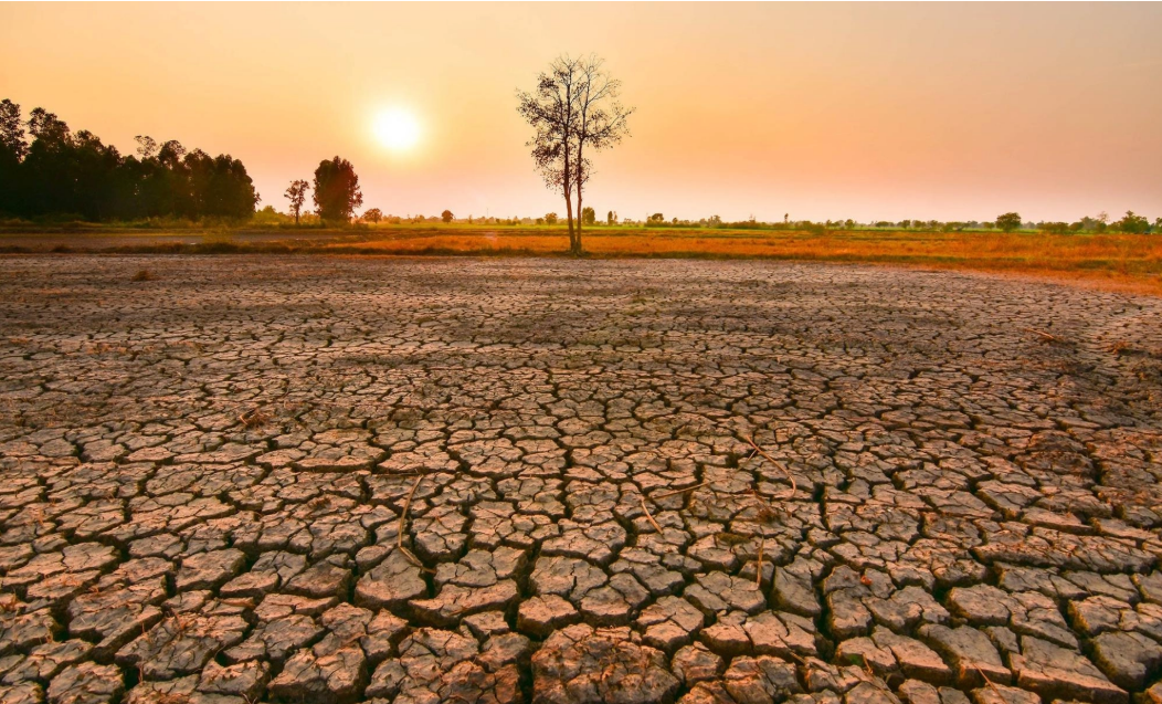 Khủng hoảng khí hậu gia tăng: El Niño, cháy rừng và nỗi lo an ninh lương thực toàn cầu