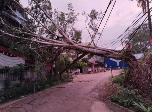 Mưa giông kèm lốc xoáy ở Yên Bái làm 59 nhà dân hư hại