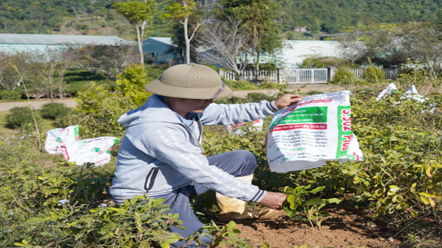 Sơn La chủ động ứng phó rét đậm, sương muối bảo vệ vùng cây trồng vụ đông