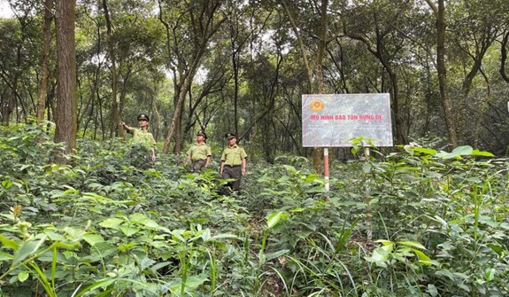 Thành phố Hải Phòng chủ động các biện pháp đảm bảo phòng chống cháy rừng trong bối cảnh nắng nóng gay gắt, có nhiều diễn biến phức tạp