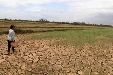 El Niño đã hình thành, nguy cơ xuất hiện đợt El Niño rất mạnh vào cuối năm 2026