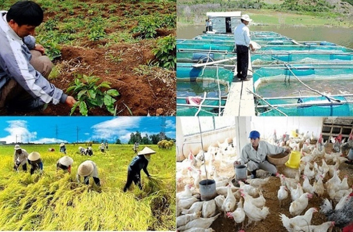 Thông tin cảnh báo, dự báo khí tượng thủy văn giúp tỉnh Bắc Ninh phát triển hiệu quả mô hình chăn nuôi theo chuỗi liên kết, tạo giá trị bền vững