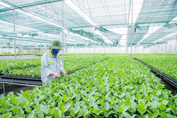Tỉnh Đắk Lắk đẩy mạnh ứng dụng khoa học công nghệ lĩnh khí tượng thủy văn trong phát triển nông nghiệp và bảo vệ môi trường
