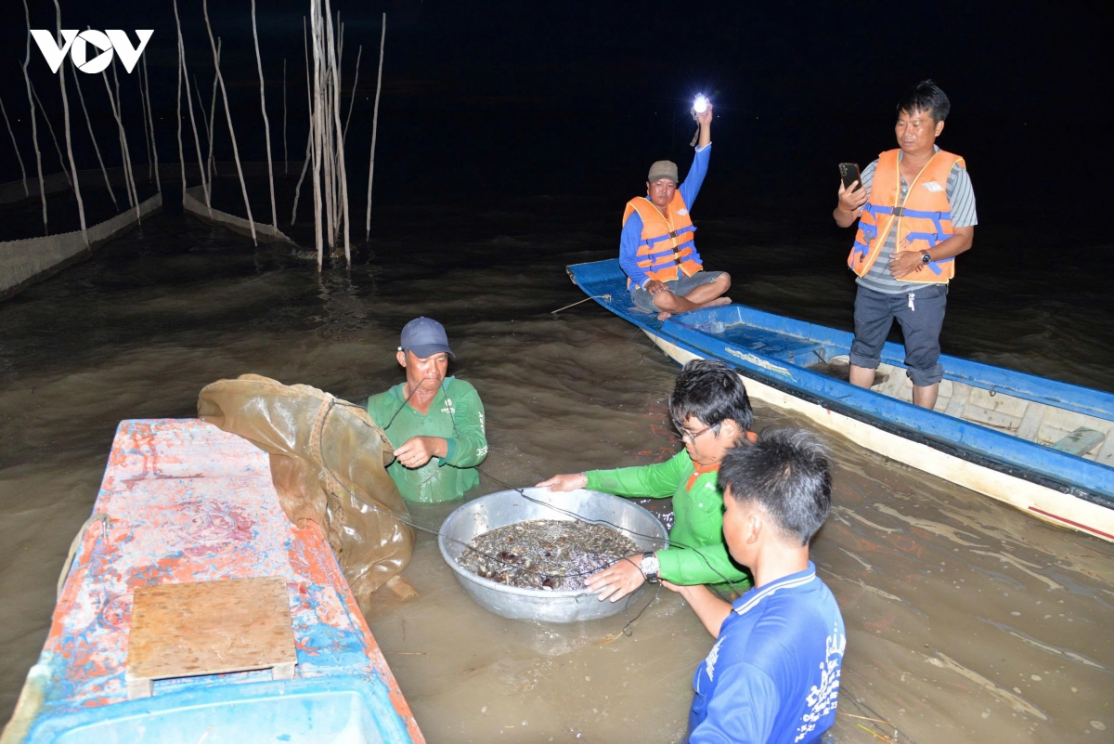 Thông tin thủy văn đồng hành cùng sản xuất tại Đồng Tháp