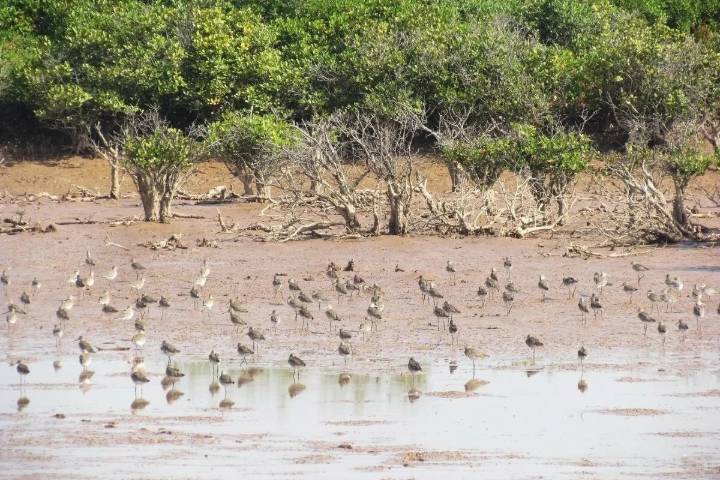 Việt Nam đóng góp 15 khu trong Hệ thống Vườn Di sản ASEAN