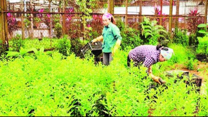 Bảo tồn rừng và phát triển sinh kế bền vững cho cộng đồng vùng đệm