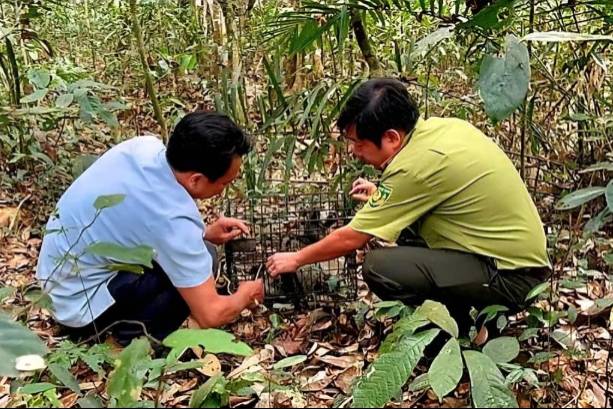 Tái thả động vật hoang dã quý hiếm tại Đồng Nai, góp phần bảo tồn hệ sinh thái