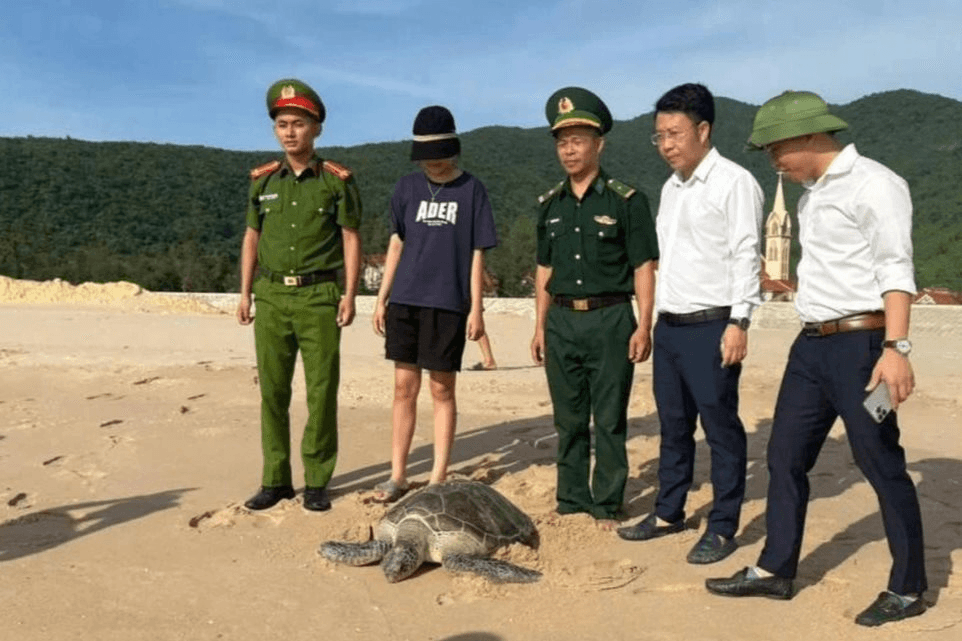 Hà Tĩnh: Ngư dân giao nộp cá thể rùa biển quý hiếm mắc lưới để thả về tự nhiên