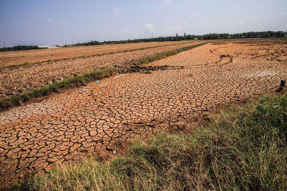 El Nino phát triển mạnh, gia tăng nguy cơ thời tiết cực đoan